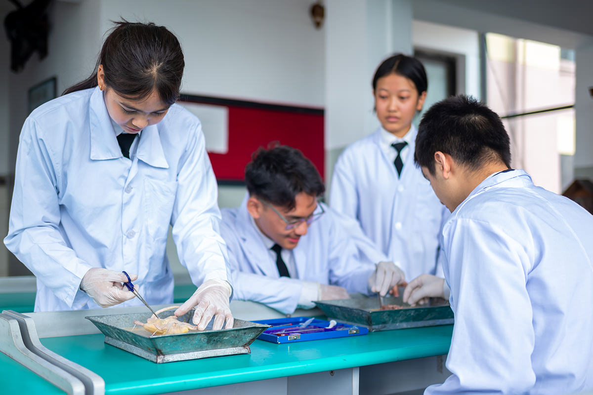 Laboratory